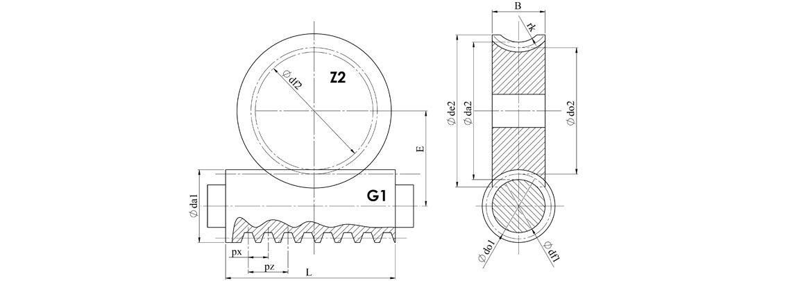 Sonsuz Vida Parametreleri
